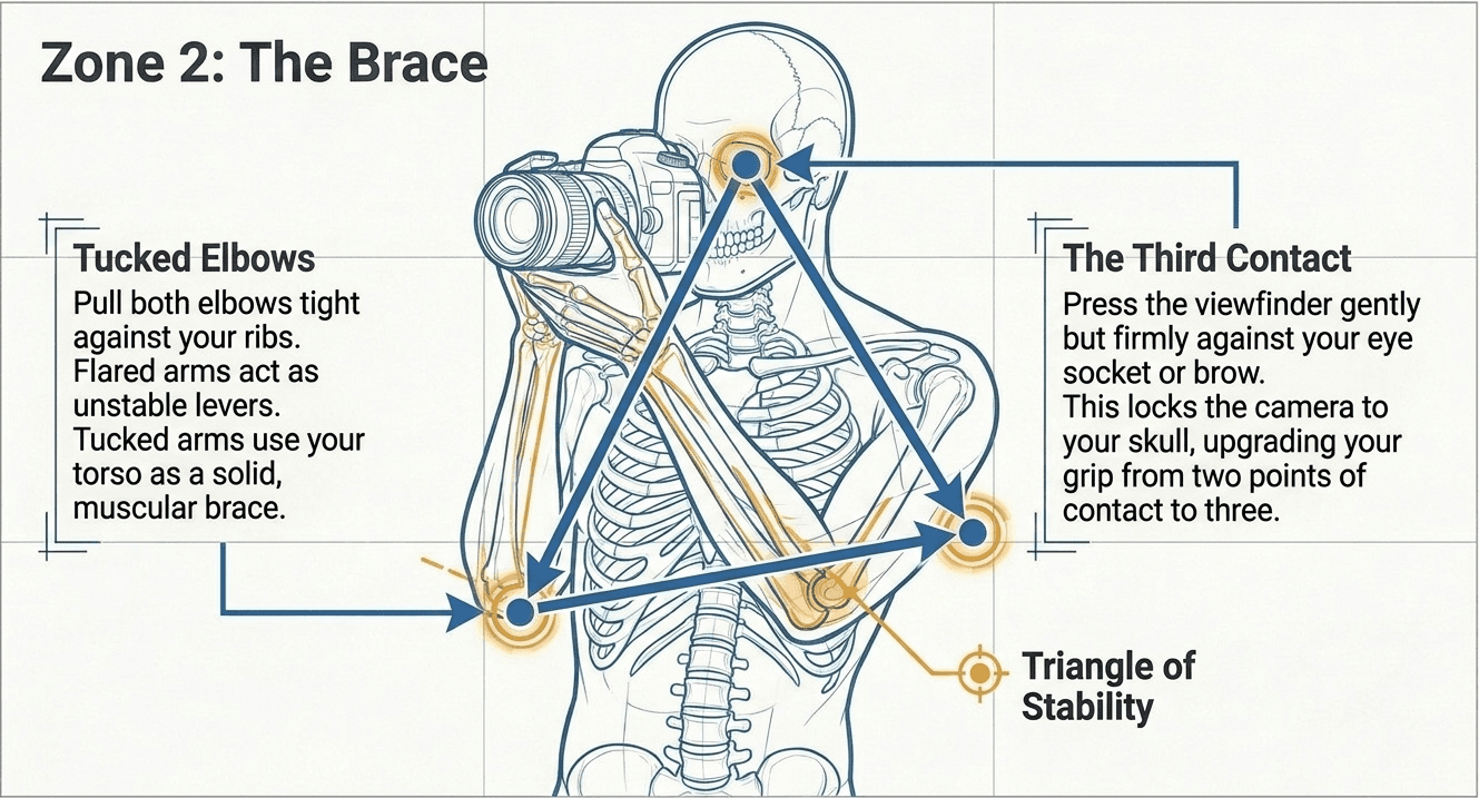 the_brace.png