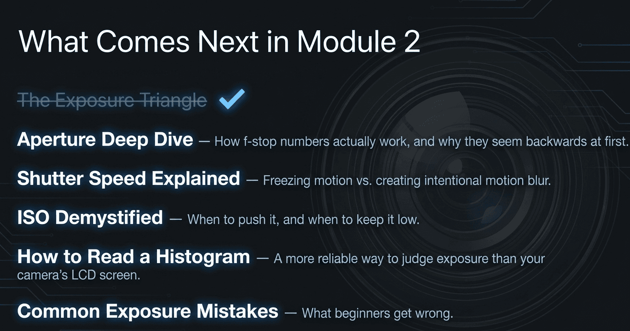 whats_next.png
