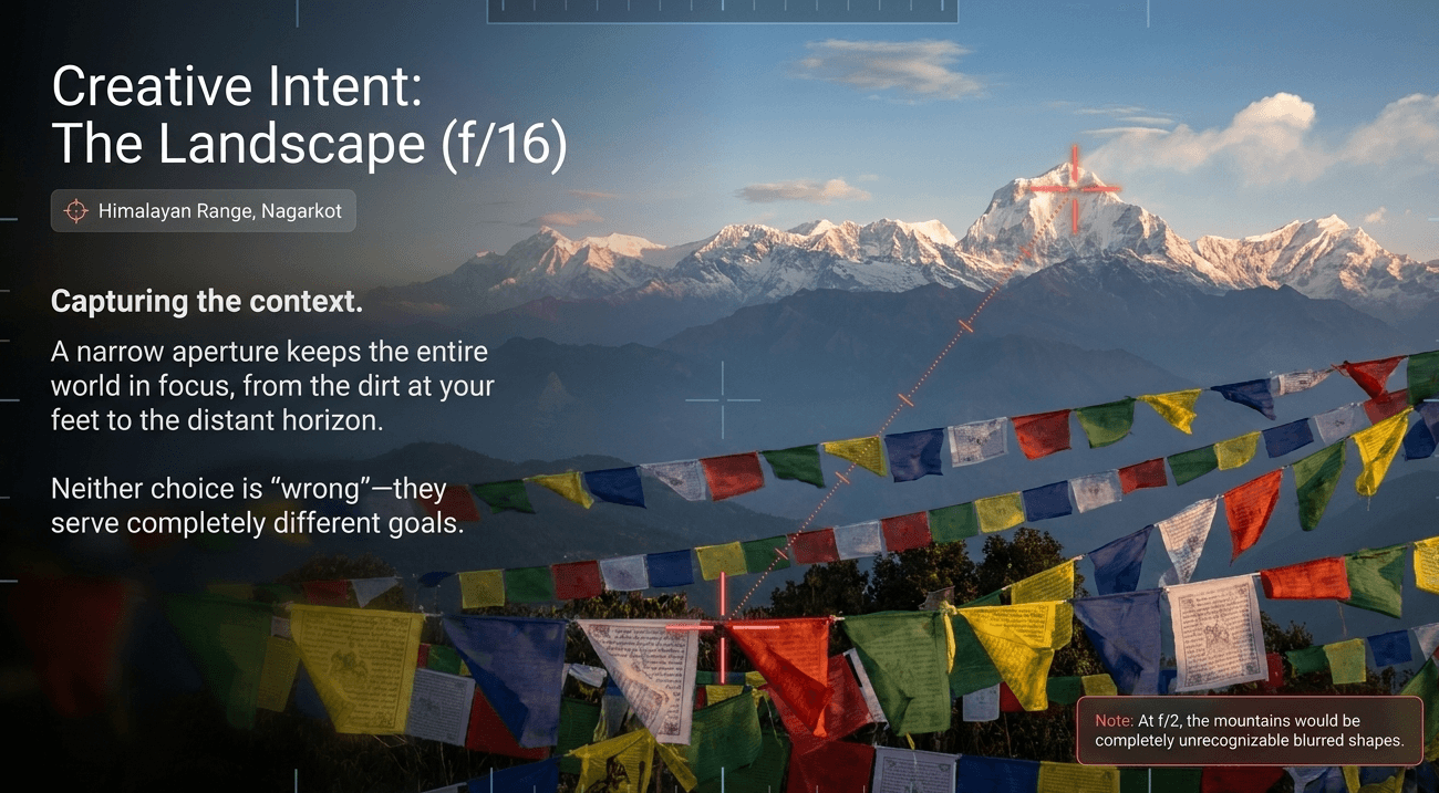 the_landscape.png